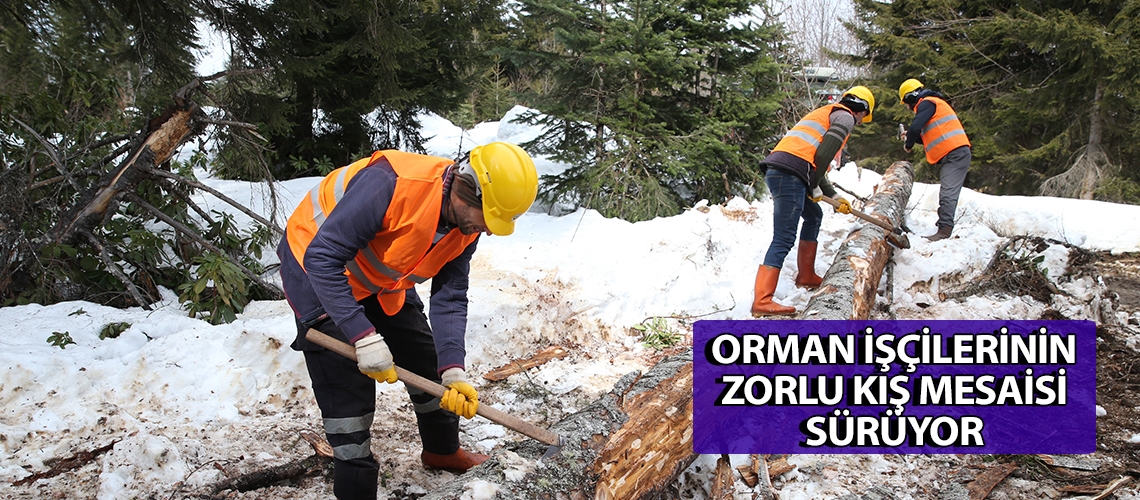 Orman işçilerinin zorlu kış mesaisi sürüyor