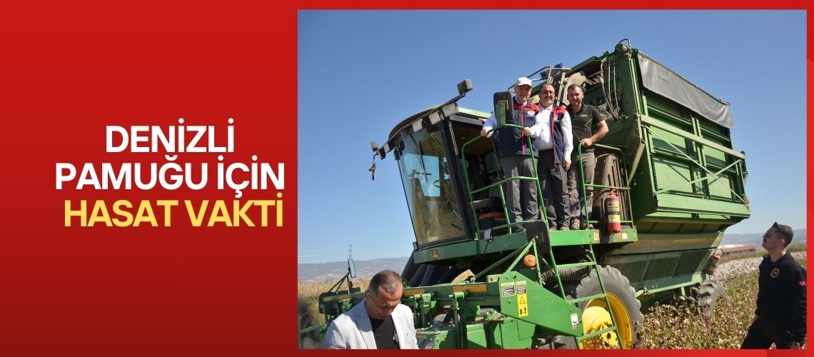 Denizli pamuğu için hasat vakti