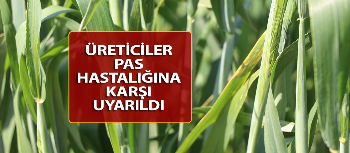 Üreticiler pas hastalığına karşı uyarıldı