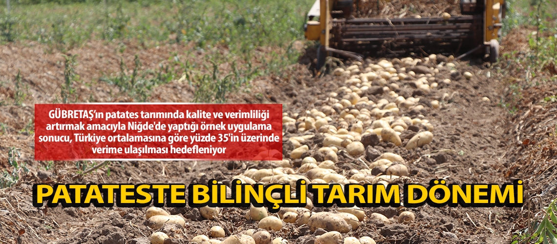 Patateste bilinçli tarım dönemi