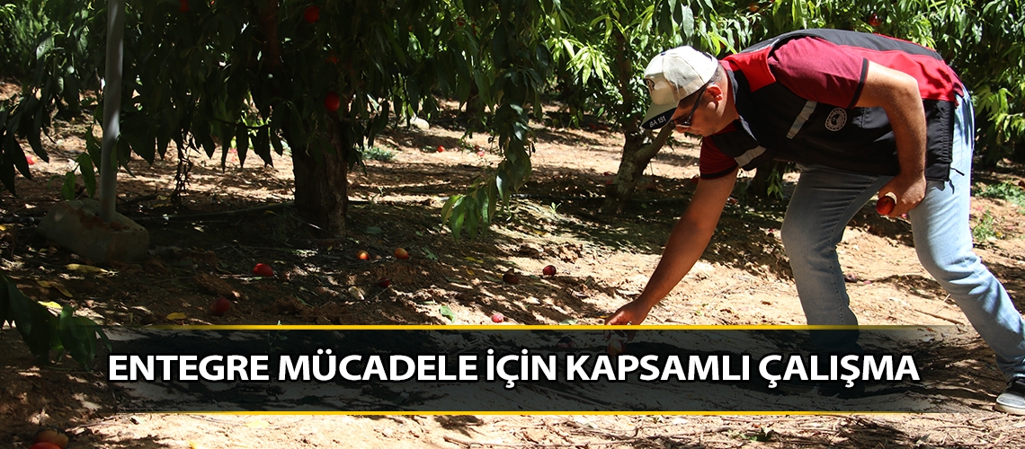 Entegre mücadele için kapsamlı çalışma