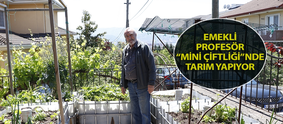 Emekli profesör “mini çiftliği”nde tarım yapıyor