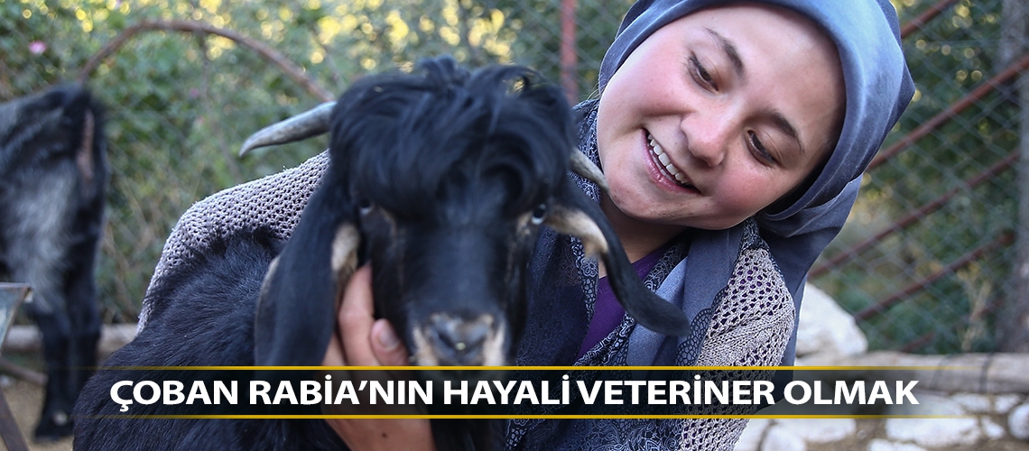 Çoban Rabia’nın hayali veteriner olmak