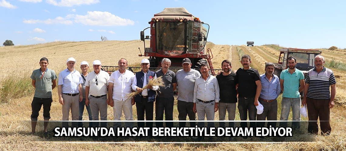 Samsun’da hasat bereketiyle devam ediyor