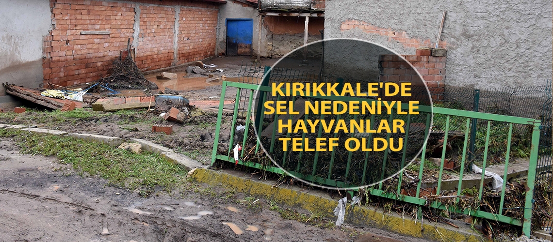 Kırıkkale'de sel nedeniyle hayvanlar telef oldu