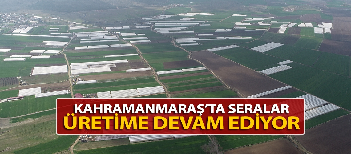 Kahramanmaraş’ta seralar üretime devam ediyor