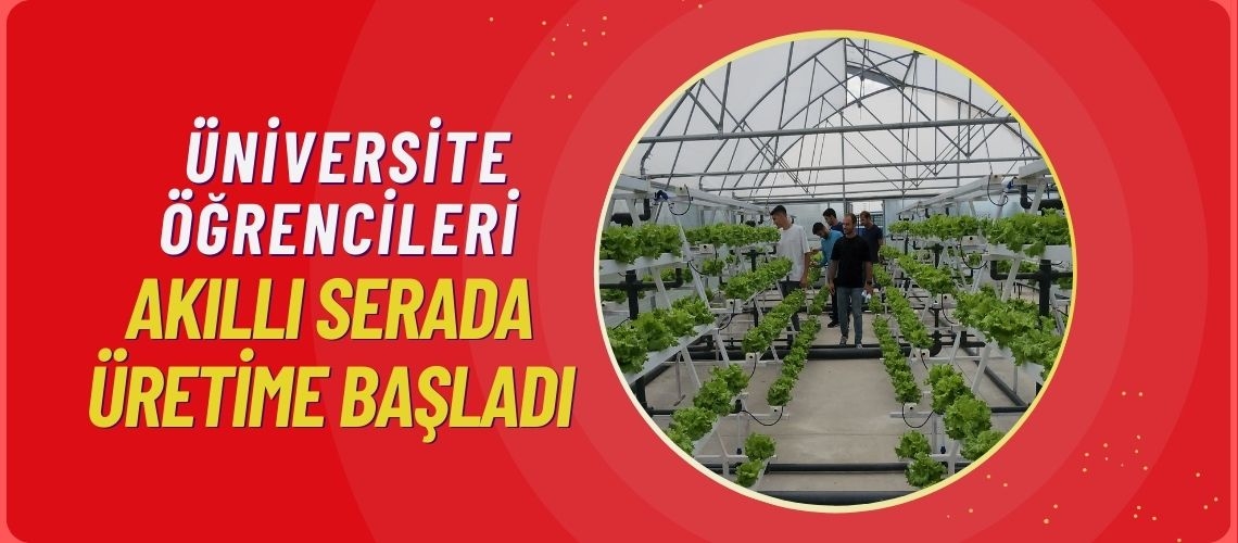 Üniversite öğrencileri akıllı serada üretime başladı