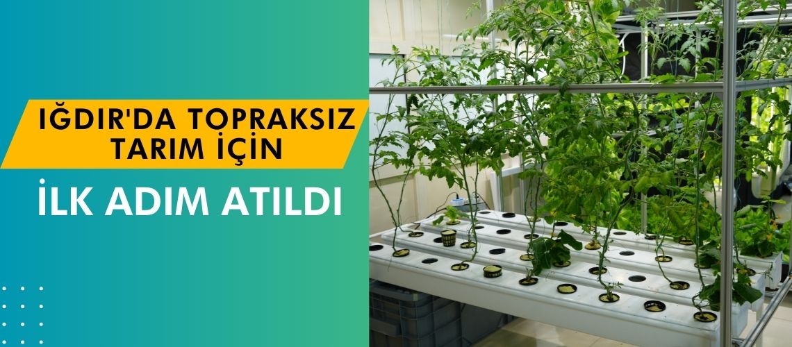 Iğdır'da topraksız tarım için ilk adım atıldı