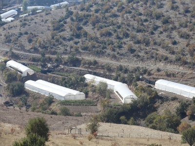 Siirt’in sera köyü Ulaştı’da yıl boyu üretim