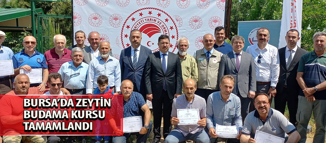 Bursa’da zeytin budama kursu tamamlandı