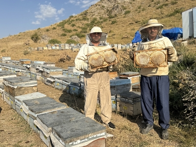 Destekle kovan sayısını arttırdı