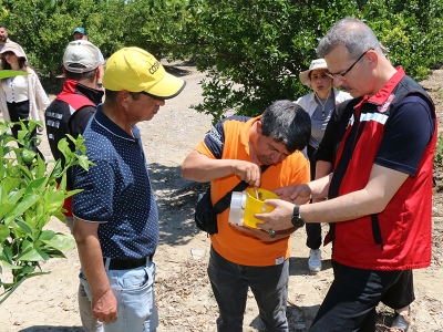 Adana’da sineksiz üretim için ekipler iş başında