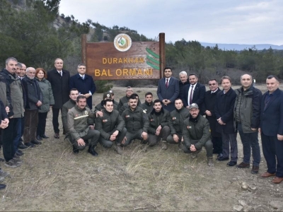 Türkiye’nin 827’nci bal ormanı Sinop’ta kuruldu