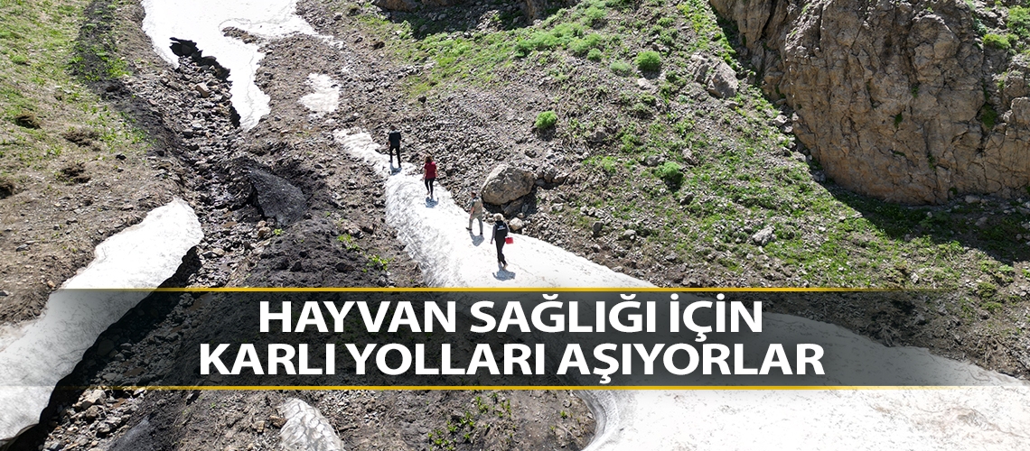 Hayvan sağlığı için karlı yolları aşıyorlar