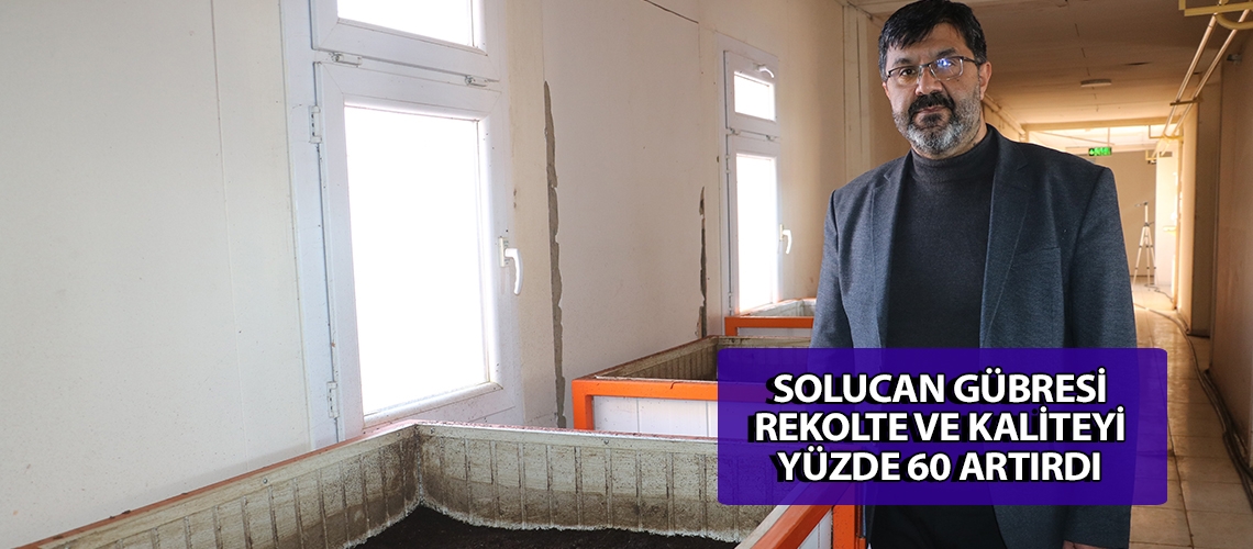 Solucan gübresi rekolte ve kaliteyi yüzde 60 artırdı