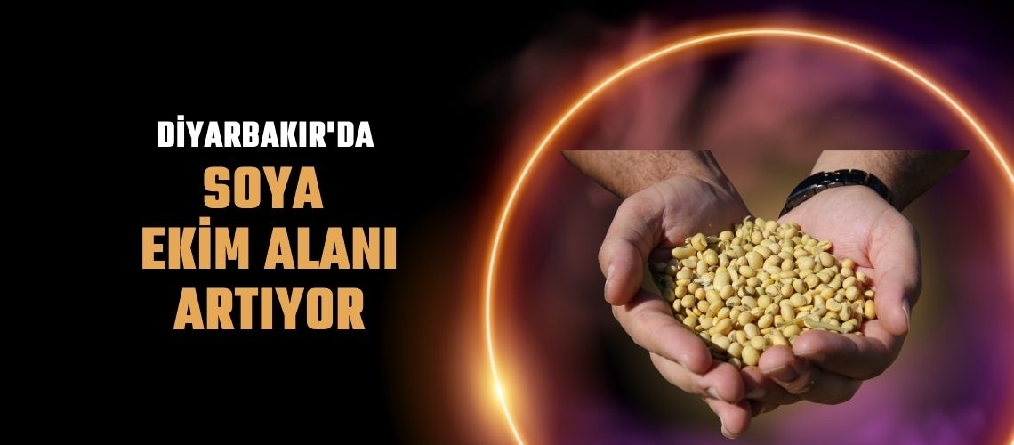 Diyarbakır'da soya ekim alanı artıyor