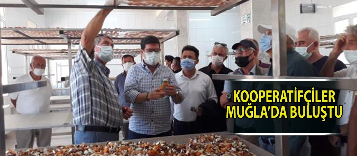 Kooperatifçiler Muğla’da buluştu