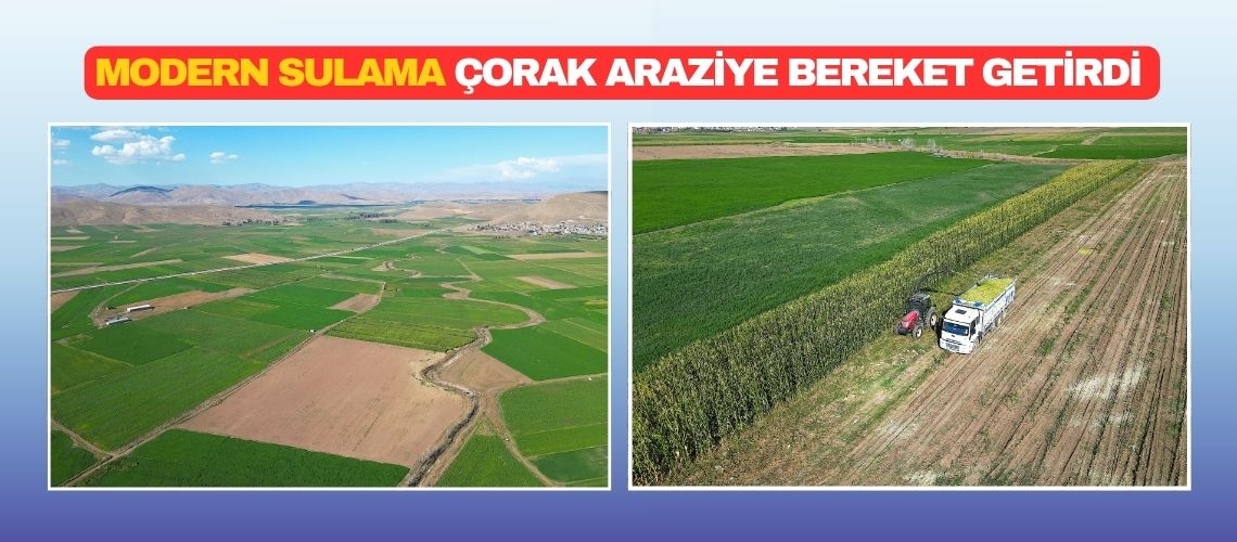 Modern sulama çorak araziye bereket getirdi