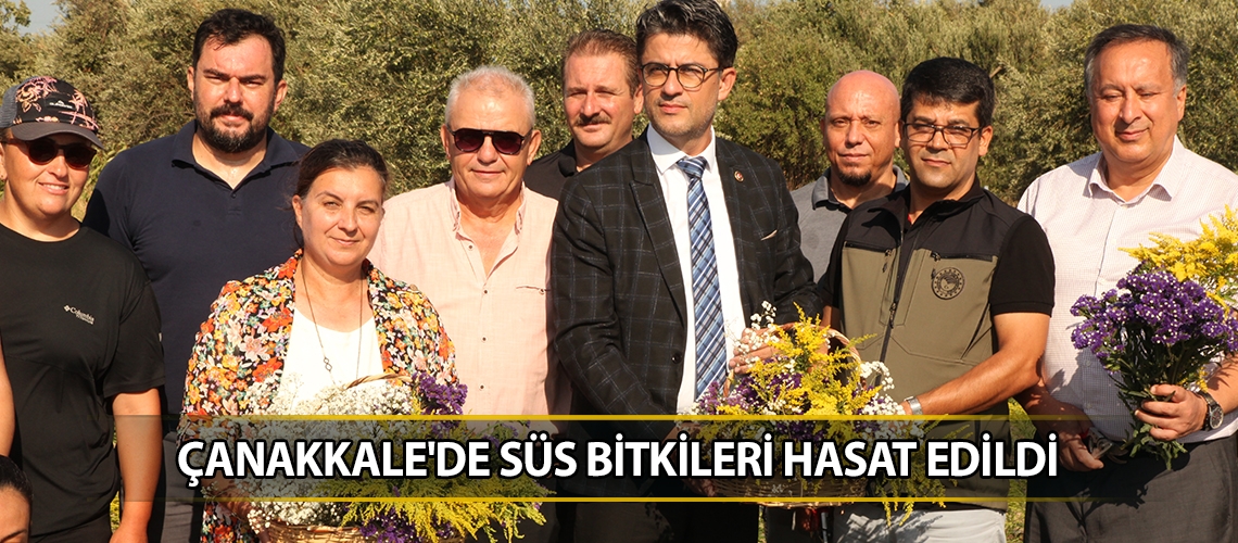 Çanakkale'de süs bitkileri hasat edildi