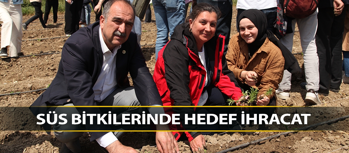 Süs bitkilerinde hedef ihracat