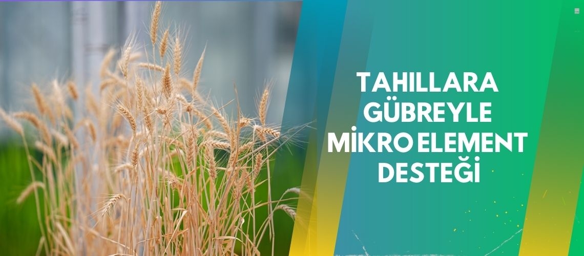 Tahıllara gübreyle mikro element desteği