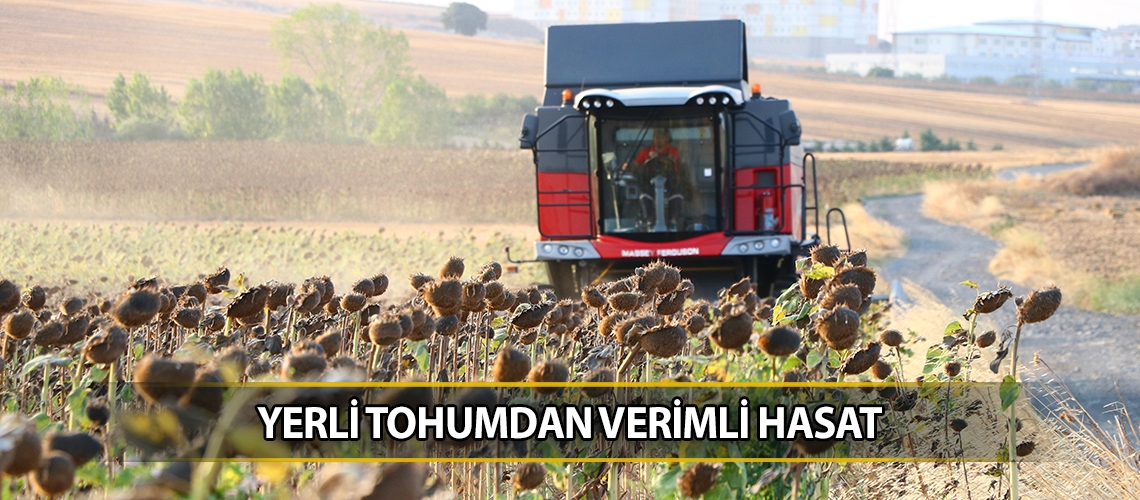 Yerli tohumdan verimli hasat