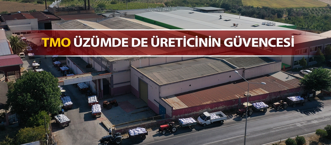 TMO üzümde de üreticinin güvencesi