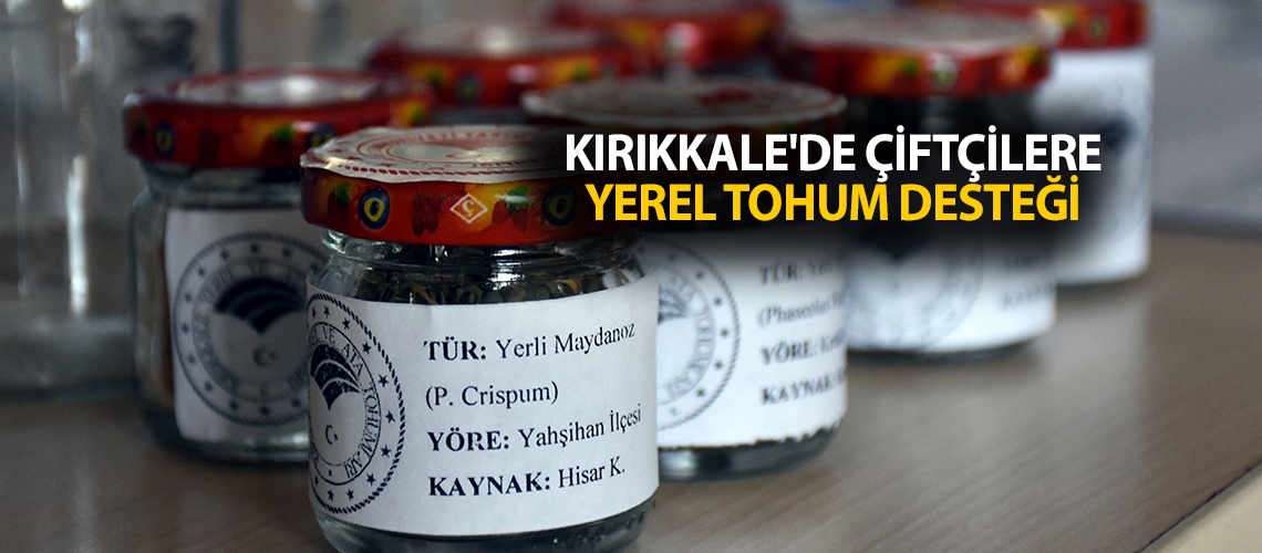 Kırıkkale'de çiftçilere yerel tohum desteği