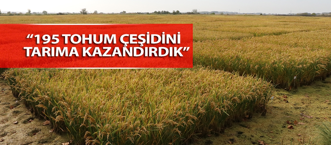 “195 tohum çeşidini tarıma kazandırdık”