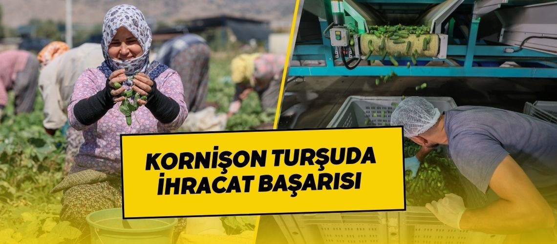 Kornişon turşuda ihracat başarısı