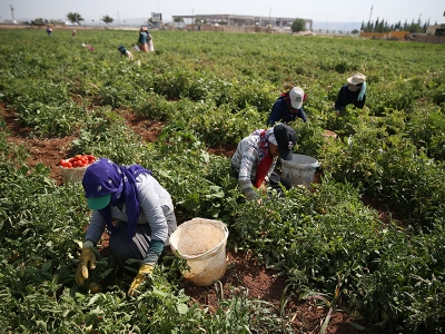 Şanlıurfa sıcağında yaz mesaisi