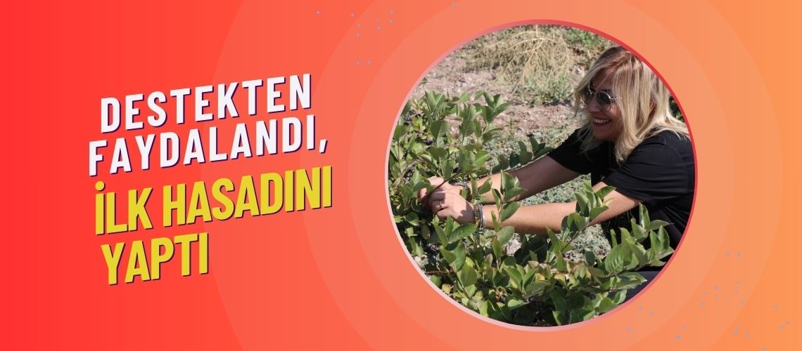 Destekten faydalandı, ilk hasadını yaptı