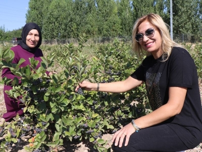 Destekten faydalandı, ilk hasadını yaptı