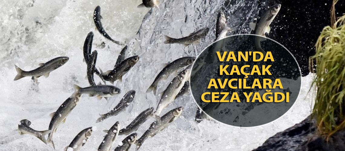 Van'da kaçak avcılara ceza yağdı