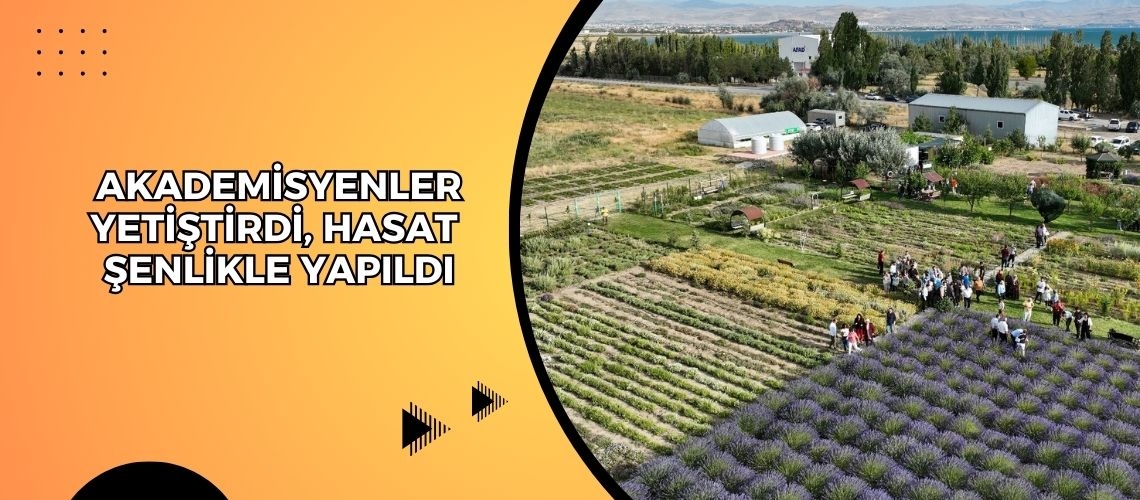 Akademisyenler yetiştirdi, hasat şenlikle yapıldı