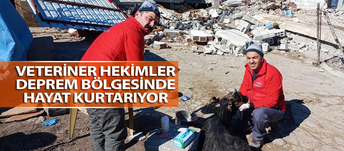 Veteriner hekimler deprem bölgesinde hayat kurtarıyor