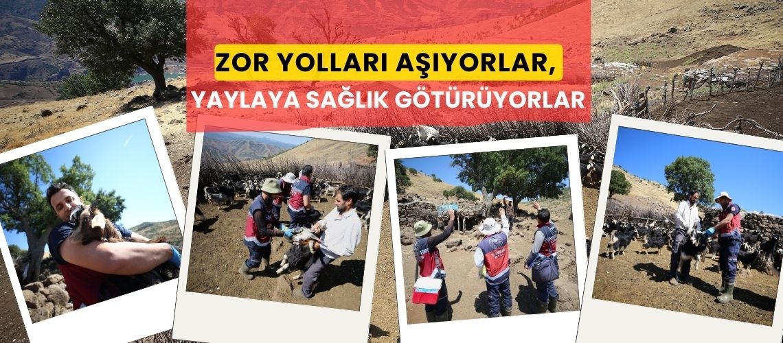 Zor yolları aşıyorlar, yaylaya sağlık götürüyorlar