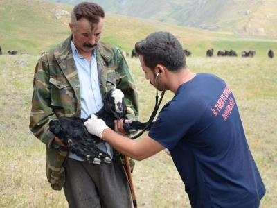 Veteriner hekimler de yaylaya çıktı