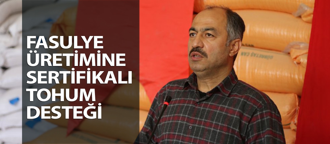 Fasulye üretimine sertifikalı tohum desteği