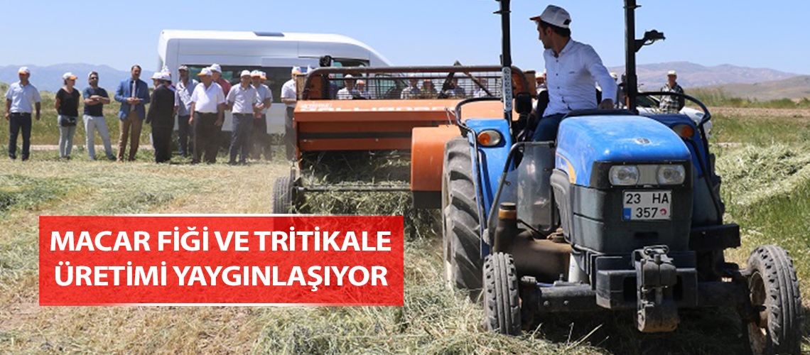 Elazığ’da yem bitkileri Tarla Günü