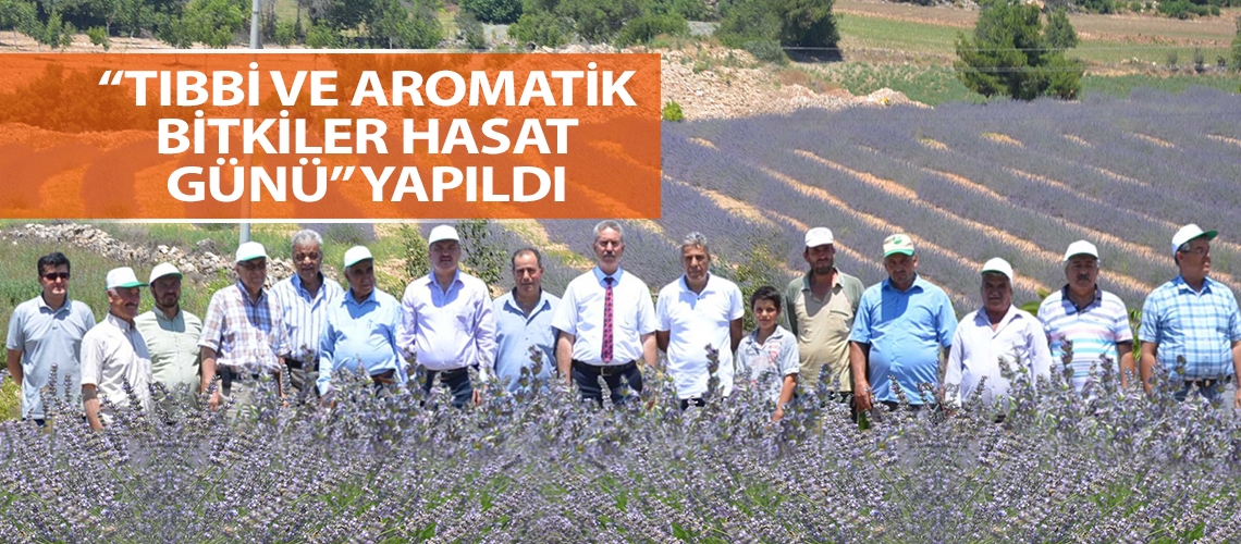 “Tıbbi ve Aromatik Bitkiler Hasat Günü” yapıldı