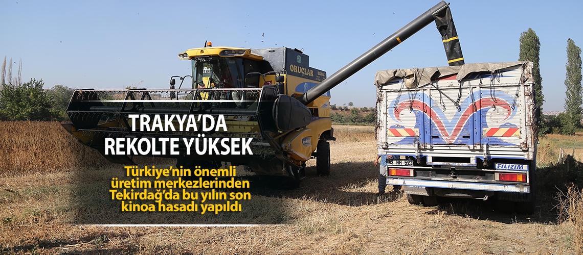 Tekirdağ'da yılın son kinoa hasadı yapıldı