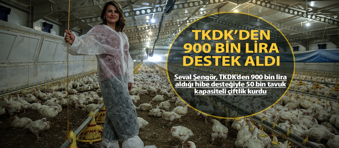 Girişimci kadından 50 bin kapasiteli tavuk çiftliği