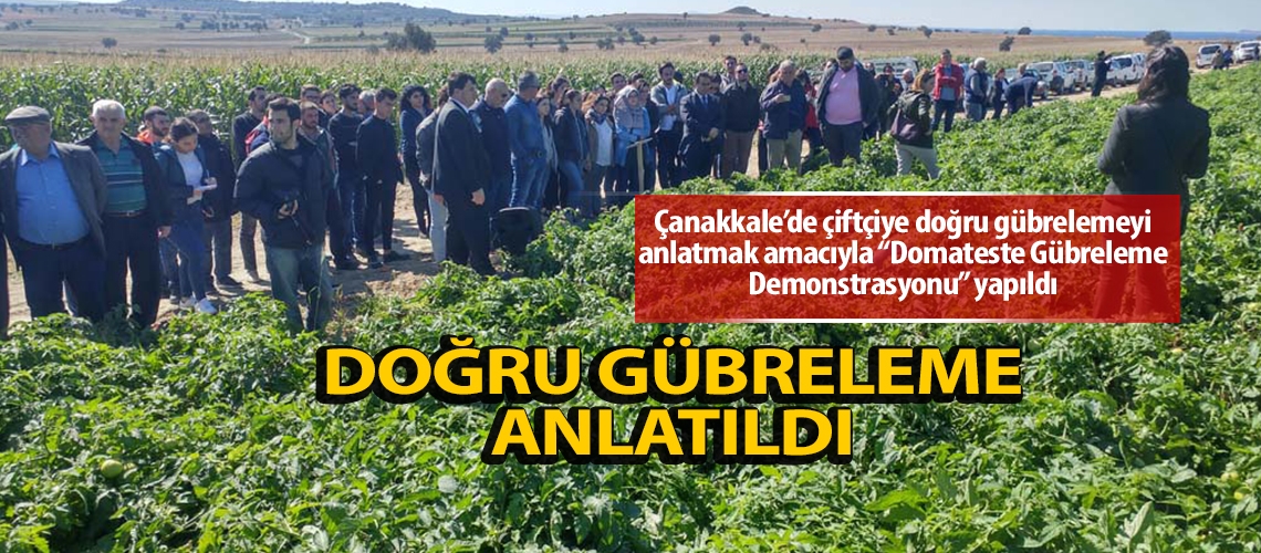 Çanakkale’de domateste gübreleme demonstrasyonu