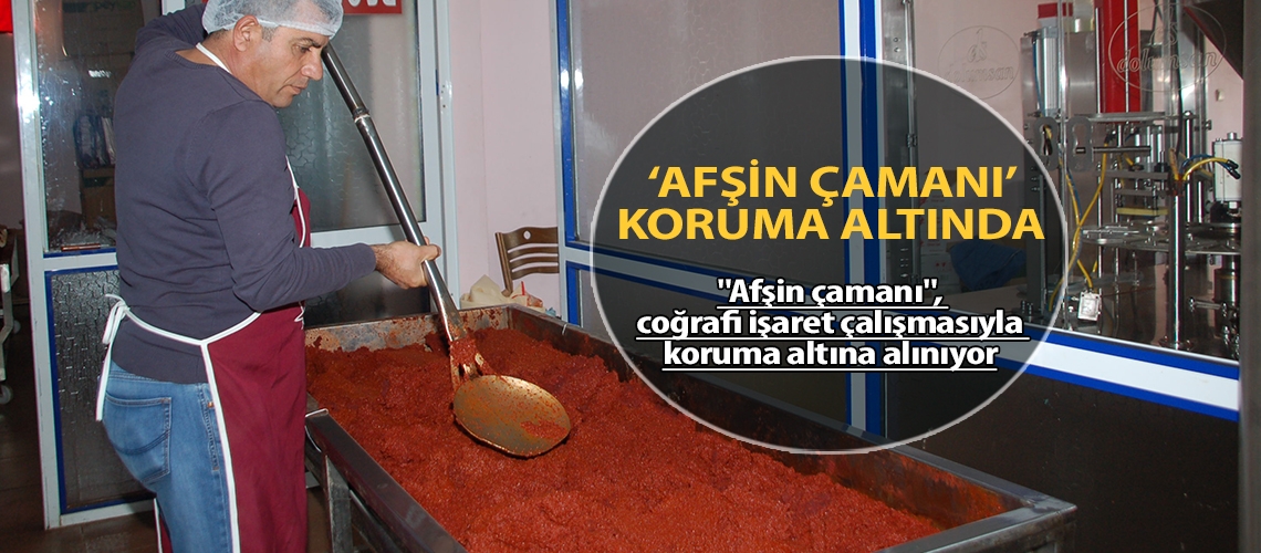 'Afşin çamanı' koruma altında