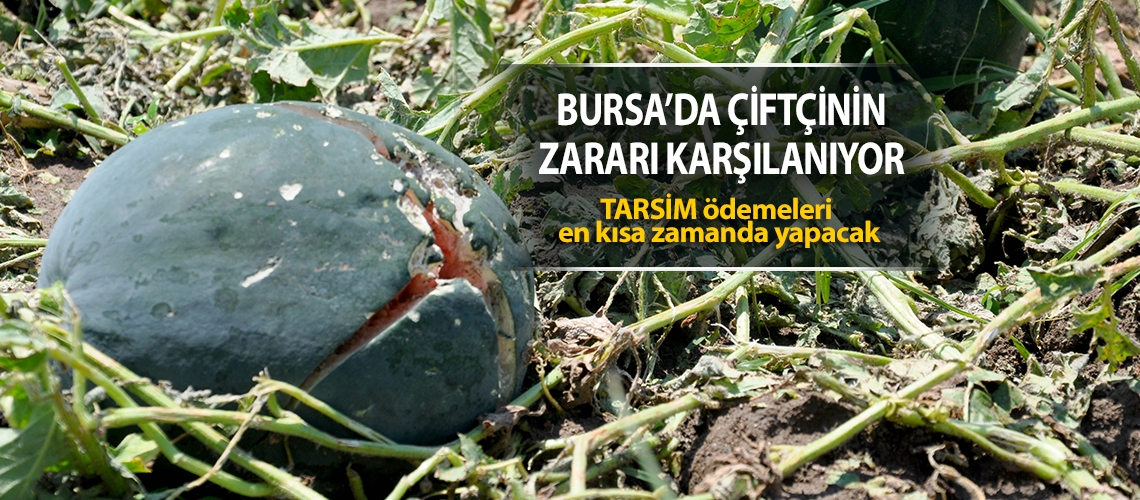 Bursa’da çiftçinin zararı karşılanıyor