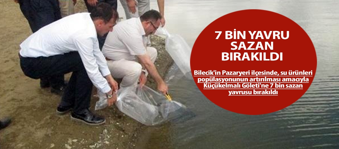 7 bin yavru sazan bırakıldı