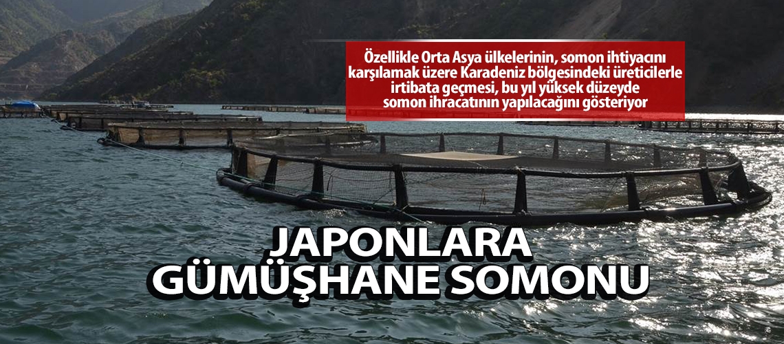 Japonlara Gümüşhane somonu