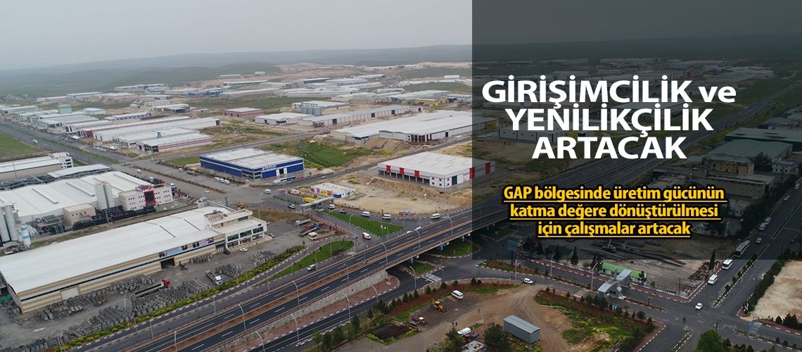 ‘GAP'ın üretim gücü katma değere dönüşmeli’