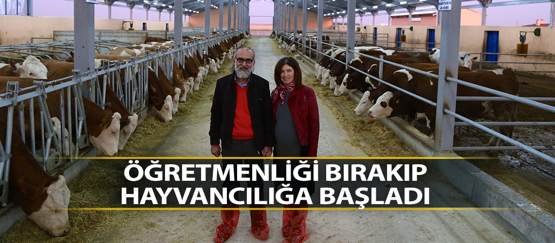 İngilizce öğretmenliğini bırakıp hayvancılığa başladı